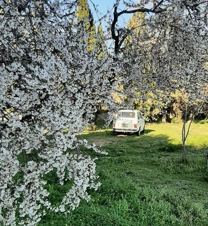 Domo Mia Bed & Breakfast Telti Bagian luar foto