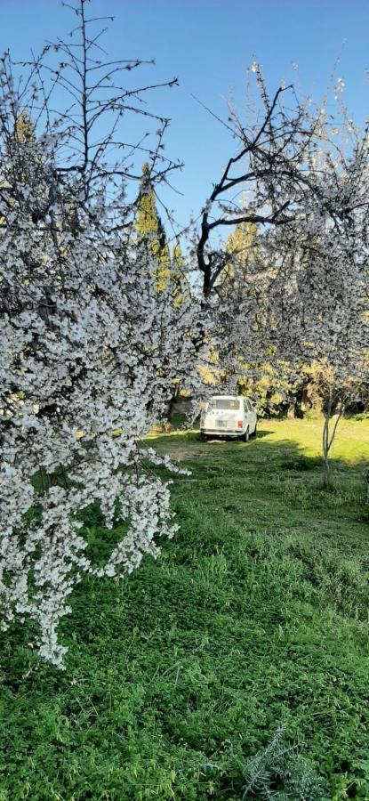 Domo Mia Bed & Breakfast Telti Bagian luar foto